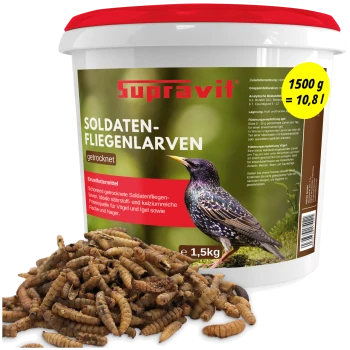 Supravit getrocknete Soldatenfliegenlarven (Soldaten‑Fliegenlarven), 1,5‑kg‑Dose, Haufen von Larven und Vogel auf dem Etikett.