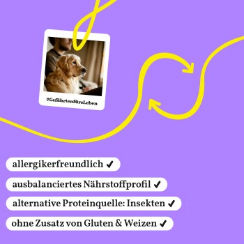 Golden Retriever sitzt auf einem Sofa mit einer Person, Hashtag #GefährtenfürsLeben, Vorteile von Haustierfutter auf lila Hintergrund in Deutsch.