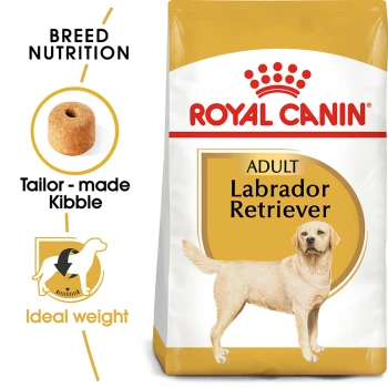 Royal Canin Adult Labrador Retriever dog food bag featuring tailored kibble, breed nutrition, and ideal weight indicators.