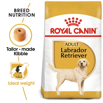 Royal Canin Adult Labrador Retriever dog food bag featuring tailored kibble, breed nutrition, and ideal weight indicators.