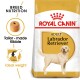 Royal Canin Adult Labrador Retriever dog food bag featuring tailored kibble, breed nutrition, and ideal weight indicators.
