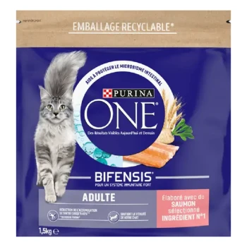 Sac de nourriture pour chats Purina ONE avec un chat gris, avec un texte mettant en avant "Bifensis" pour une forte immunité, et une étiquette "Adult."