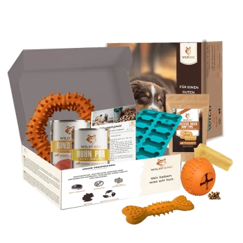 Wildfang-Hundepflegebox mit Dosenfutter, Kauspielzeug, Leckerli-Formen und Snacks für gesunde Haustiere.