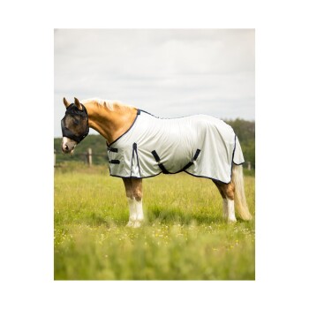 Ein Palomino-Pferd, das ein helles Fliegennetz trägt, steht auf einer grasbewachsenen Fläche, mit einer schwarzen Fliegenmaske, die sein Gesicht bedeckt.