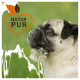 Eine Nahaufnahme eines Mopses mit einem Löwenzahn-Puff, neben dem Text "NATUR PUR" in einem herzförmigen Logo.