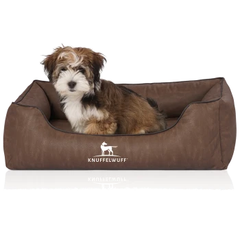 Ein kleiner, flauschiger Welpe mit braunem und weißem Fell sitzt bequem in einem braunen Haustierbett, mit dem Logo 'KNUFFELWUFF'.
