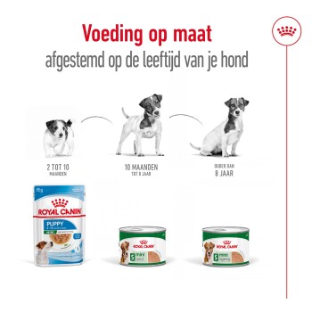 Royal Canin hondenvoerproducten voor verschillende levensfasen: Puppy (2-10 maanden), Mini Adult (10 maanden-8 jaar) en Mini Aging (ouder dan 8 jaar).