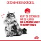 Een fluffy kat zit elegant, met 'GEZONDHEIDSVOORDEEL' erboven en 'HELPT DE GEZONDHEID VAN DE HUID EN VACHT TE ONDERSTEUNEN' eronder.