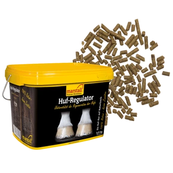 Behälter mit marstall Huf-Regulator Pferdefutter, 3,5 kg, mit verstreuten Pellets; fördert die Hufregeneration.