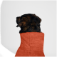 Ein Hund mit dunklem Fell ist von hinten zu sehen und trägt ein weiches, orangefarbenes Handtuch-ähnliches Kleidungsstück. Der Hintergrund ist rein weiß.