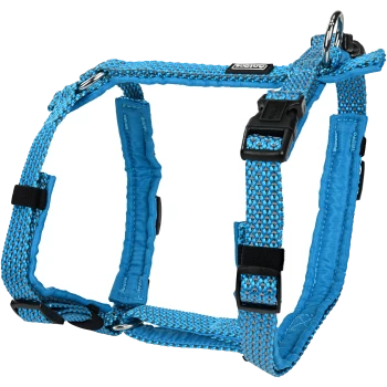 Harnais pour animaux de compagnie bleu avec des sangles réglables et un anneau en D en métal pour attacher la laisse, conçu pour le confort et la sécurité.