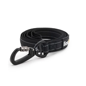 Schwarze Hundeleine mit reflektierenden Nähten und einem stabilen Clip, mit dem Markennamen "lion" am Griff.