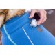 Eine Nahaufnahme einer blauen Hundejacke mit einem reflektierenden Licht, das ein Etikett mit einem Hundelogo zeigt, während eine Hand das Licht anpasst.
