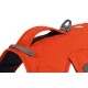 Nahaufnahme eines leuchtend orangefarbenen Hundegeschirrs mit einem grauen Riemen und einem reflektierenden Etikett, das für Sicherheit und Komfort entworfen wurde.