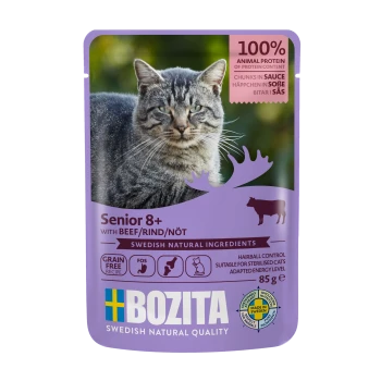 Katze-Futterbeutel mit einer grauen getigerten Katze, beschriftet mit 'Senior 8+' und Vorteilen wie Rindfleisch, getreidefrei und Haarballenkontrolle.