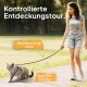 Eine Frau führt eine graue Katze an einer langen Leine in einem Park, mit einem stilvollen Geschirr. Der Text enthält "Kontrollierte Entdeckungstour."
