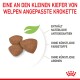 Dreieckige Welpenfutter-Kroketten mit Text: "Für kleine Kiefer", enthalten natürliche Antioxidantien, ohne künstliche Zusätze.