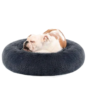 Rundes dunkelgraues Plüsch-Donut-Hundebett mit erhöhtem Rand; kleiner braun-weißer Hund teilweise sichtbar. Kein Text.