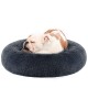 Rundes dunkelgraues Plüsch-Donut-Hundebett mit erhöhtem Rand; kleiner braun-weißer Hund teilweise sichtbar. Kein Text.