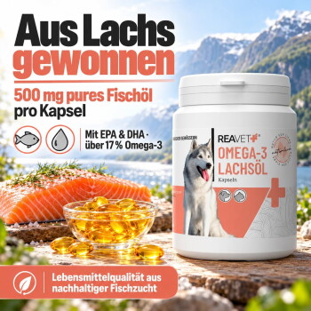 Eine Person, die sanft eine entspannte orangefarbene Katze streichelt, mit dem Text "MIT EXPERTEN ENTWICKELT" und Details zur Expertenentwicklung in Deutschland.