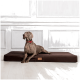 Ein grauer Weimaraner-Hund mit einem roten Halsband liegt auf einem braunen Haustierbett in einem hellen, minimalistischen Raum mit weißen Verkleidungen.