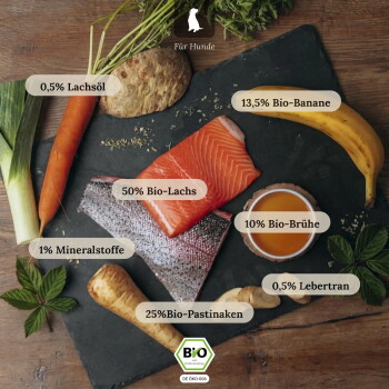 Lachsfilet und Gemüse auf Schiefer für Hundefutter; deutsche Beschriftungen ‚Für Hunde‘, ‚50% Bio‑Lachs‘, ‚25% Bio‑Pastinaken‘, ‚13,5% Bio‑Banane‘, BIO‑Siegel.
