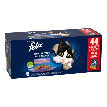 Felix Tender Shreds kattenvoer maxi pack met 44 zakjes, gemengde selectie in gelei, met een zwart-witte kat op de doos.