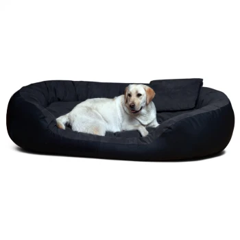Großes schwarzes Haustierbett mit erhöhten Rändern und einem hellfarbenen Hund, der darin auf weißem Hintergrund liegt.