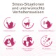 Infographie sur les comportements de stress des chats montrant six icônes : grattage, marquage, miaulement, conflits, nouveaux animaux de compagnie et feux d'artifice.