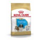 Royal Canin Puppy Shih Tzu Hundefutterbeutel, mit einer kleinen Shih Tzu-Illustration, gekennzeichnet für Welpen bis zu 10 Monaten.