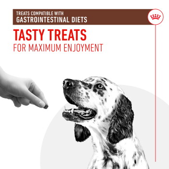 A hand presents a treat to a happy spotted dog, with text: "Tasty Treats for Maximum Enjoyment" and "Gastrointestinal Diets Compatible."