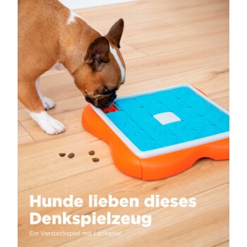 Ein Hund spielt mit einem bunten Leckerli-Puzzle-Spielzeug, mit Futter, das in der Nähe verstreut ist. Text: "Hunde lieben dieses Denkspielzeug!"