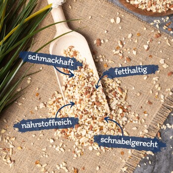 Eine Holzschaufel mit gemischten Nüssen und Samen auf Jute, mit verstreuten Stücken und Etiketten: "schmackhaft," "nährstoffreich," "fettig," "schnabelgerecht."