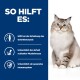 Eine flauschige Katze sitzt vor einem blauen Hintergrund mit Text zu den Vorteilen: unterstützt Knorpel, schlanke Muskulatur und Immunität.