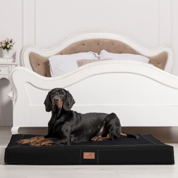 Ein schwarzer Dobermann liegt auf einem stilvollen schwarzen Haustierbett in einem gemütlichen Raum mit einem beigen gepolsterten Bett und einer kleinen Blumenvase auf einem weißen Nachttisch.