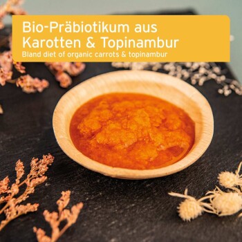 Schüssel mit orangefarbenem Karotten- und Topinamburpüree auf schwarzem Schiefer mit getrockneten Blüten; Etikett: "Bio‑Präbiotikum aus Karotten & Topinambur".