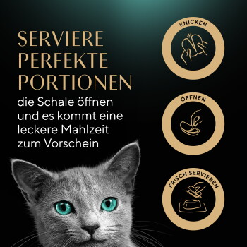 Graue Katze mit türkisfarbenen Augen; goldener Text 'SERVIERE PERFEKTE PORTIONEN' und Icons mit den Beschriftungen KNICKEN, ÖFFNEN, FRISCH SERVIEREN.