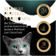 Graue Katze mit türkisfarbenen Augen; goldener Text 'SERVIERE PERFEKTE PORTIONEN' und Icons mit den Beschriftungen KNICKEN, ÖFFNEN, FRISCH SERVIEREN.