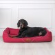 Ein schwarzer Hund mit braunen Abzeichen liegt bequem auf einem roten Hundebett mit einem kleinen Kissen, vor einem hellen Holzboden und einer weißen Wand.