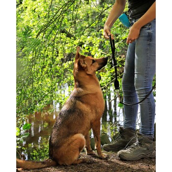 Eine Person in Jeans und Wanderschuhen hält eine Leine und interagiert mit einem braunen Hund in einer üppigen, grünen Umgebung.