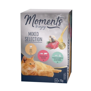 Verpackte Katzenfutterbox mit der Aufschrift "Momente zum Genießen" mit einer gemischten Auswahl an Geschmacksrichtungen: Huhn, Thunfisch & Rind und Thunfisch mit Sardinen.