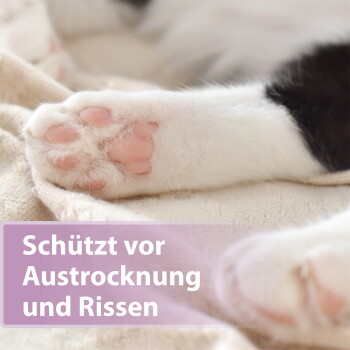 Nahaufnahme der rosa Ballen einer weißen Katzenpfote, violettes Etikett mit der Aufschrift 'Schützt vor Austrocknung und Rissen'