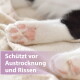 Nahaufnahme der rosa Ballen einer weißen Katzenpfote, violettes Etikett mit der Aufschrift 'Schützt vor Austrocknung und Rissen'