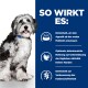 Prescription Diet ON-Care mit Huhn 2x10 kg