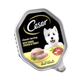 Cesar classic terrine dog food packaging featuring tender chicken and turkey, with a slice of the terrine and green garnish.