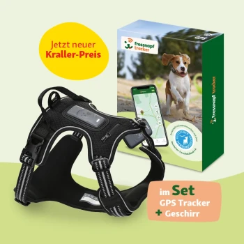 Schwarzes Hundegeschirr mit GPS-Tracker neben einer Box mit der Aufschrift "fressnapf tracker" und einem Smartphone, das eine Karte zeigt. Text: "Jetzt neuer Kraller-Preis."