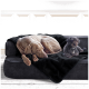Ein grauer Weimaraner schläft auf einer schwarzen Decke, die über ein dunkles Sofa gelegt ist, während ein kleiner schwarzer Pudel neben ihm sitzt, beide entspannt.