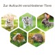 Ein verspielter Corgi-Welpe, graue Katze, brauner Hase, Meerschweinchen und Igel auf grünem Gras. Text: "Zur Aufzucht verschiedener Tiere."