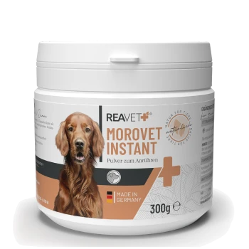 Behälter mit REAVET Morovet Instant, einem 300g Pulver für Haustiere, mit einem Hundebild, "Pulver zum Anrühren" und "Made in Germany"-Etikett.