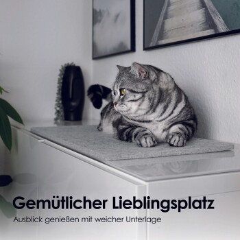 Eine entspannte graue getigerte Katze ruht auf einer weichen grauen Matte auf einem weißen Schrank, mit gerahmten Bildern hinter ihr. Text lautet "Gemütlicher Lieblingsplatz."